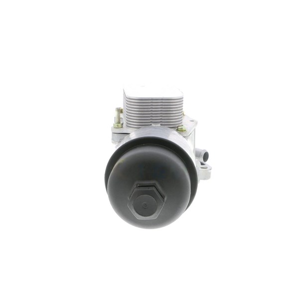 Oljekylare, motor