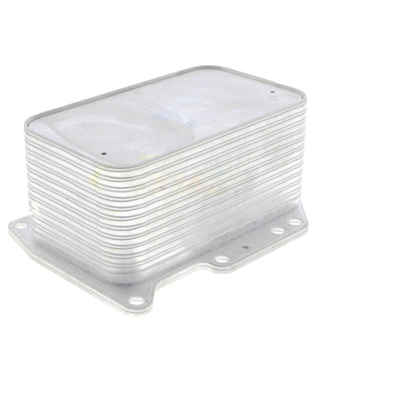 Oljekylare, motor