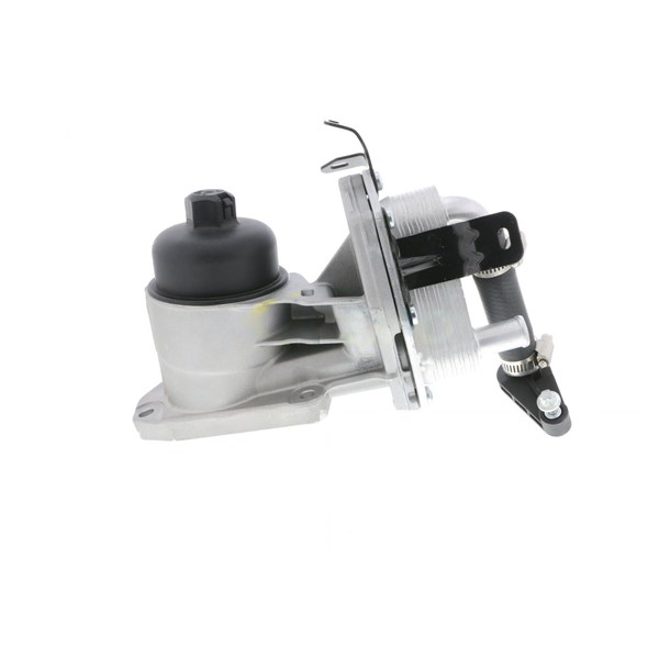 Oljekylare, motor