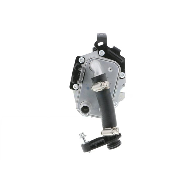 Oljekylare, motor