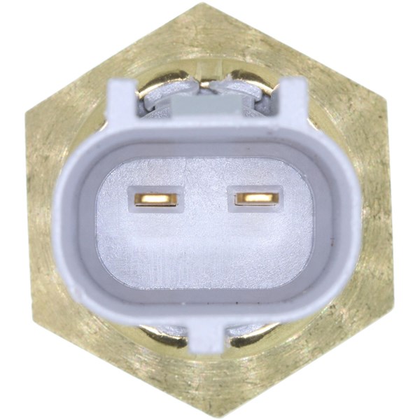 Sensor, insugslufttemperatur, Nedre