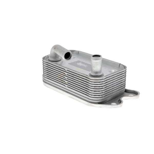 Oljekylare, motor
