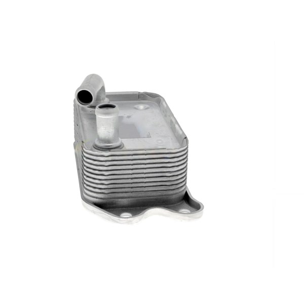 Oljekylare, motor