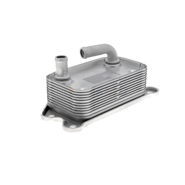Oljekylare, motor