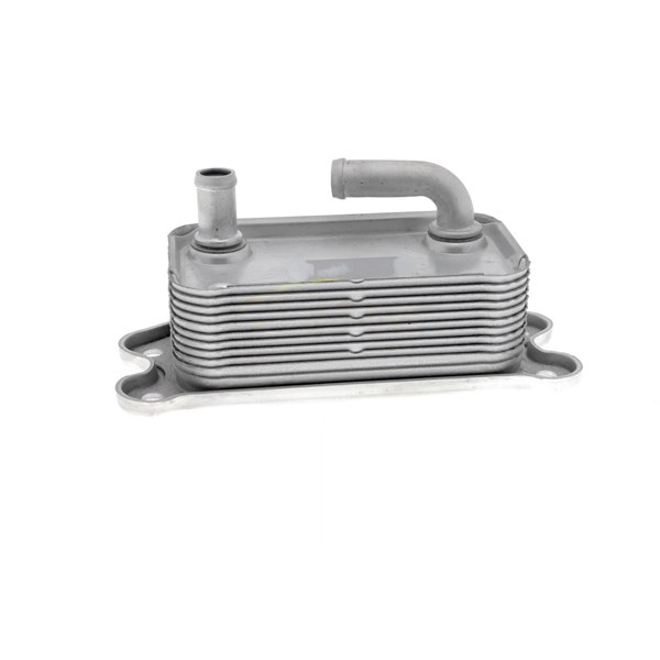 Oljekylare, motor