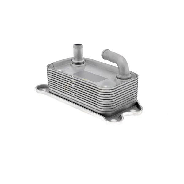 Oljekylare, motor