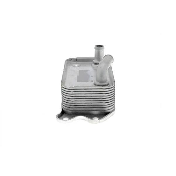 Oljekylare, motor