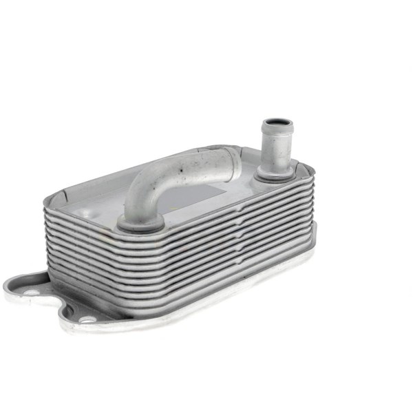 Oljekylare, motor