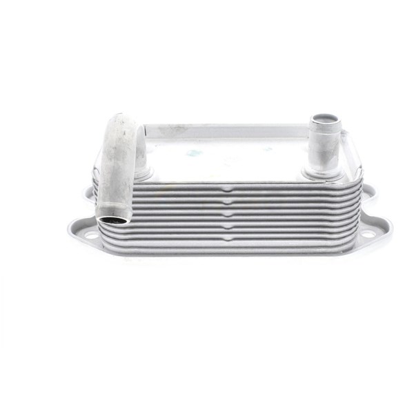 Oljekylare, motor