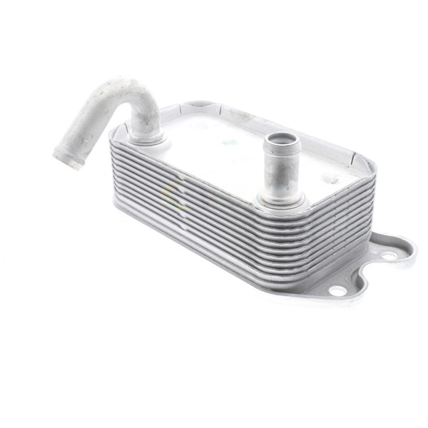 Oljekylare, motor