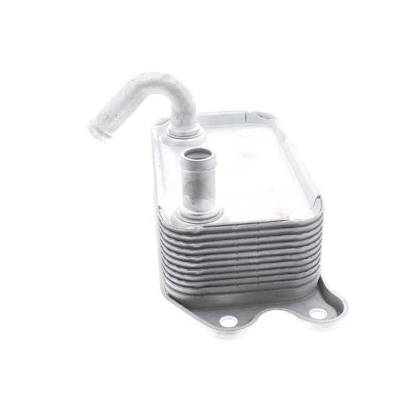 Oljekylare, motor