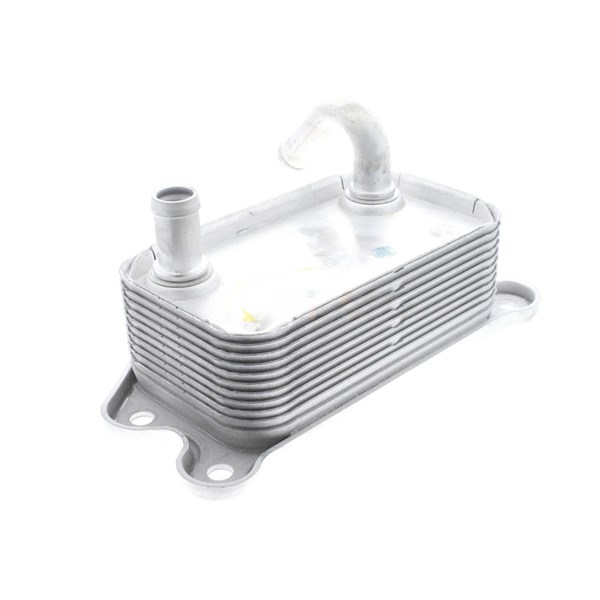 Oljekylare, motor