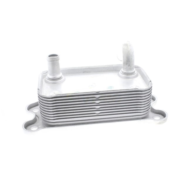 Oljekylare, motor