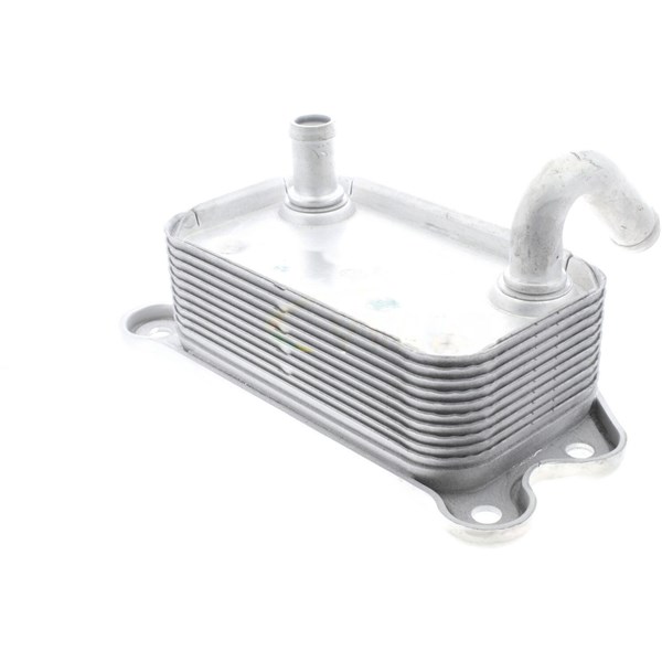Oljekylare, motor