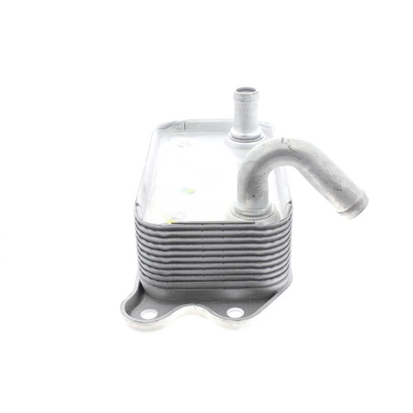 Oljekylare, motor