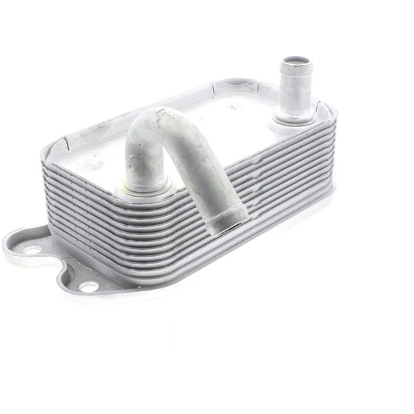 Oljekylare, motor
