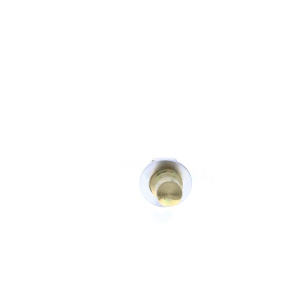 Sensor, kylvätsketemperatur Sensor, kylvätsketemperatur