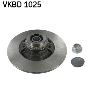 Bromsskiva Solid, Bakaxel Skf VKBD 1025 SKF