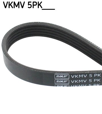 Drivrem Skf VKMV 5PK1646 SKF