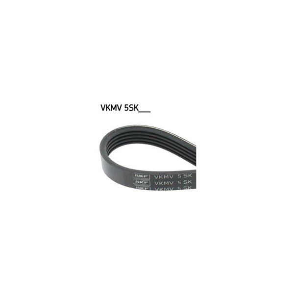 Drivrem Skf VKMV 5SK705 SKF