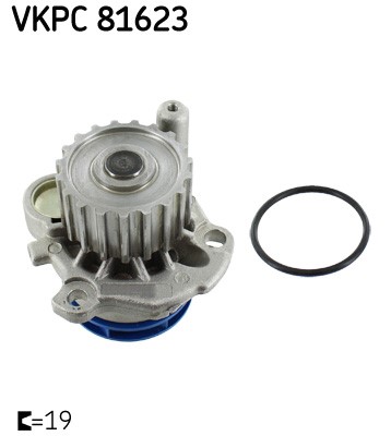 Vattenpump Skf VKPC 81623 SKF