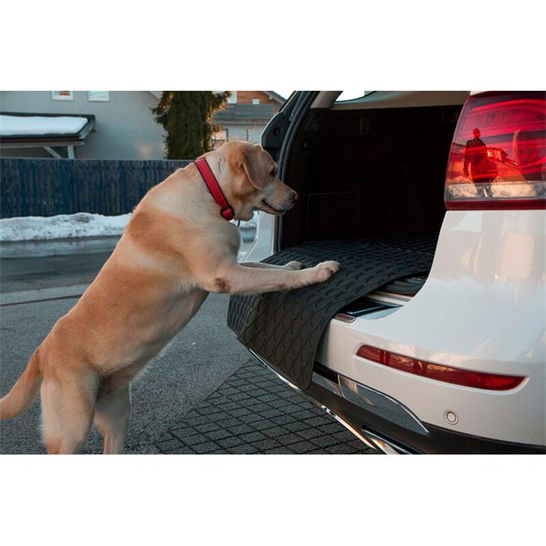 Bagagerumsmatta , Hund Bagagerumsmatta , Hund