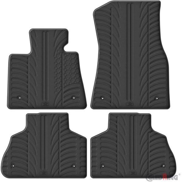 Gummimatta kupé BMW X5 (G05) , Fram och bak AutoStyle