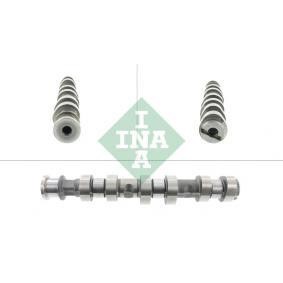 Kamaxel Ina 428 0124 10 INA