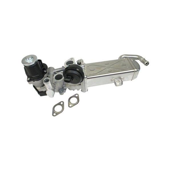 EGR-modul 12V