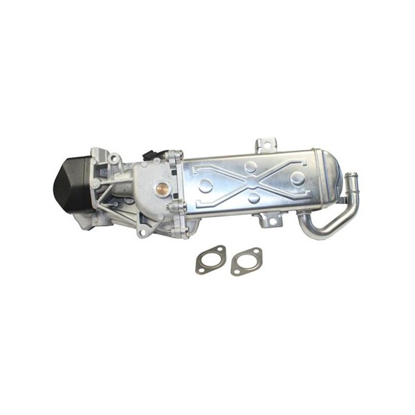 EGR-modul 12V