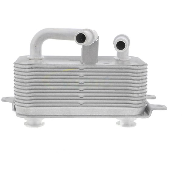 Oljekylare, motor