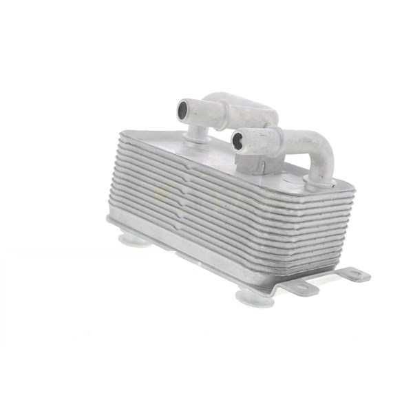 Oljekylare, motor