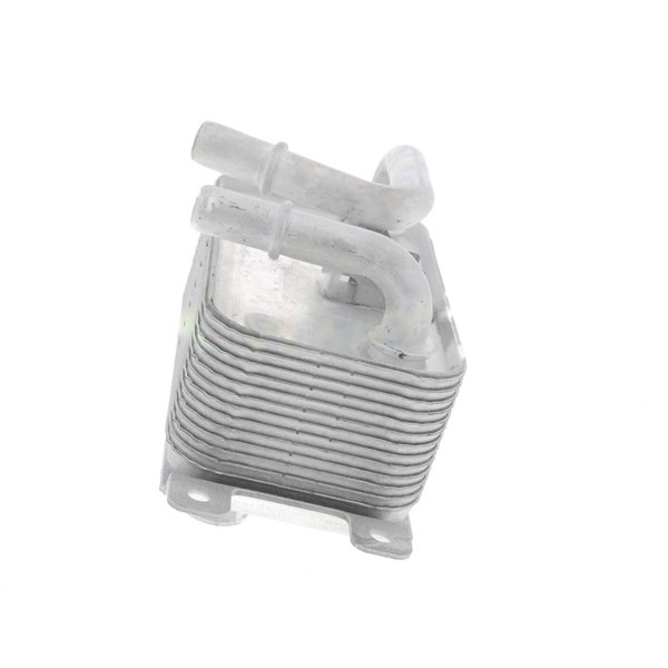 Oljekylare, motor