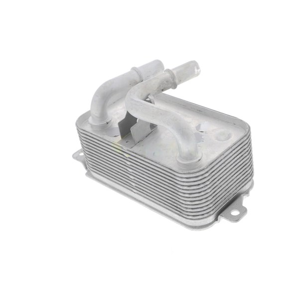 Oljekylare, motor