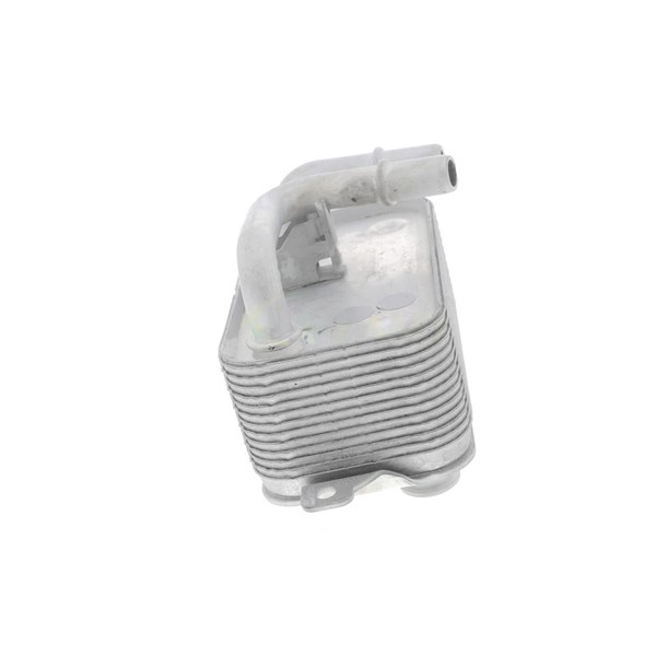 Oljekylare, motor