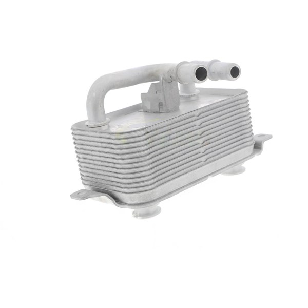 Oljekylare, motor
