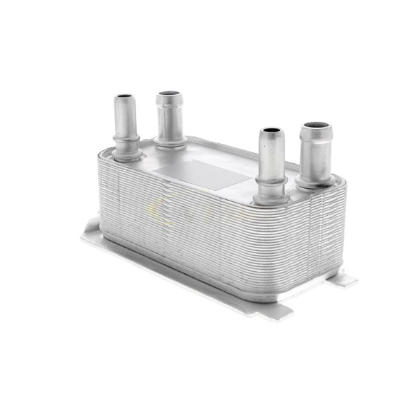 Oljekylare, motor
