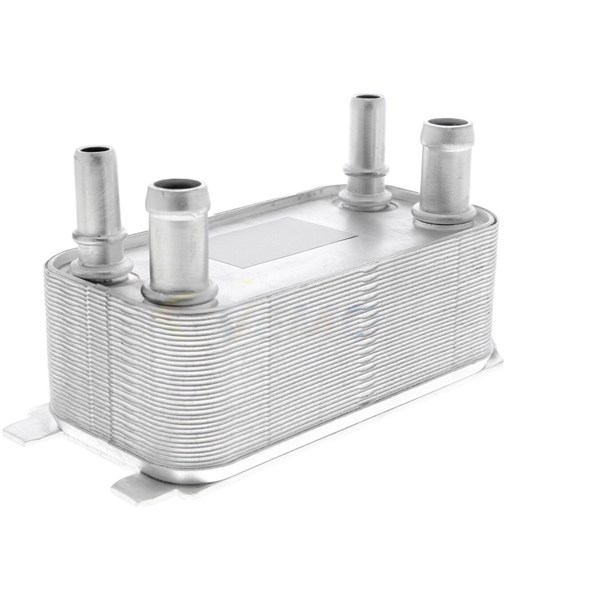 Oljekylare, motor