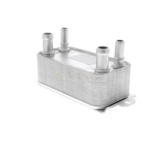 Oljekylare, motor