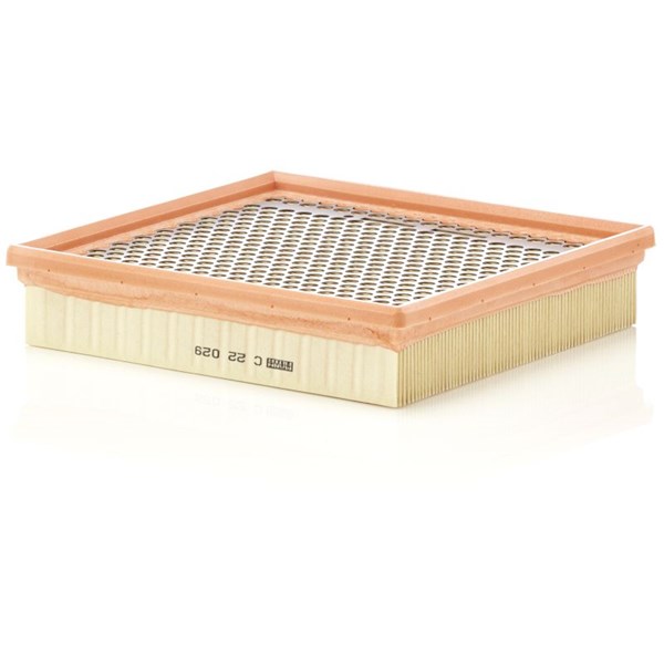 Luftfilter Mann-filter C 22 029 MANN-FILTER