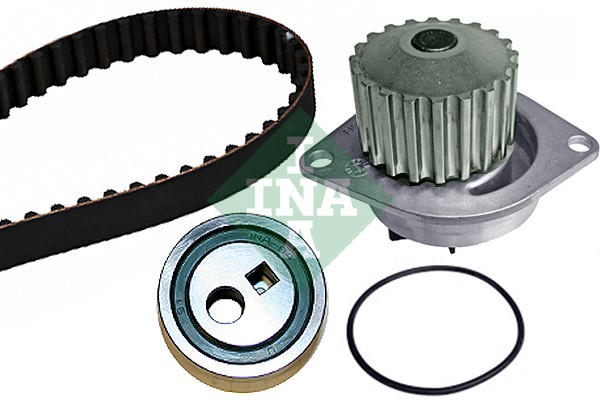 Kamremskit med vattenpump Ina 530 0252 30 INA