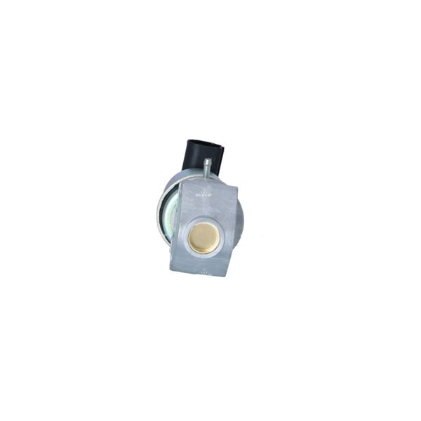 Egr-ventil 12V Nrf 48330 NRF Egr-ventil 12V Nrf 48330 NRF