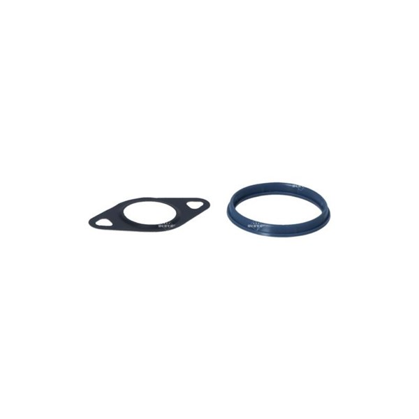 Egr-ventil 12V Nrf 48339 NRF
