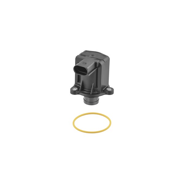 Wastegate