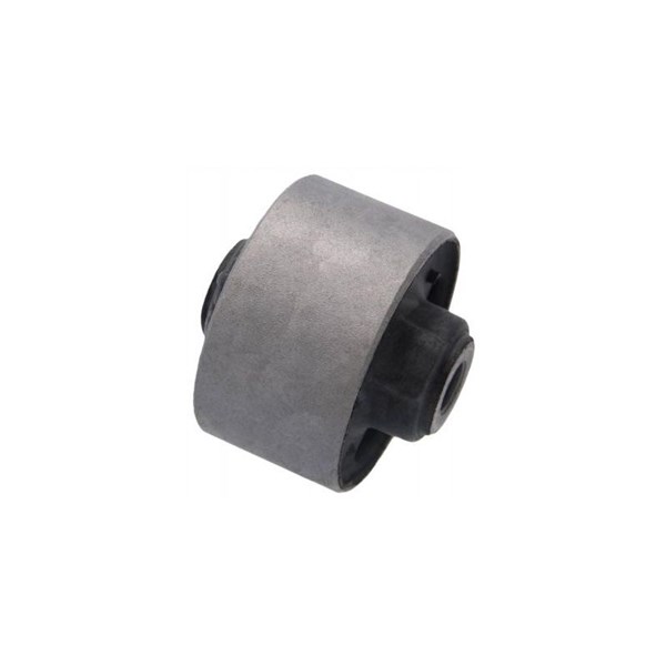 Fäste, differential, Bak Febest TAB-341 FEBEST