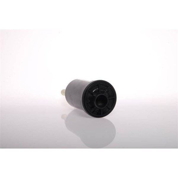Bränslepump 12V, I bränslebehållaren Esen skv 02SKV233 ESEN SKV Bränslepump 12V, I bränslebehållaren Esen skv 02SKV233 ESEN SKV