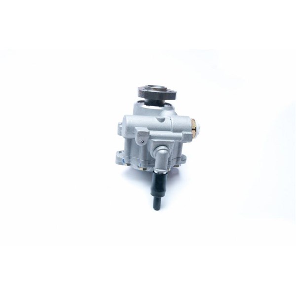 Servopump Esen skv 10SKV230 ESEN SKV