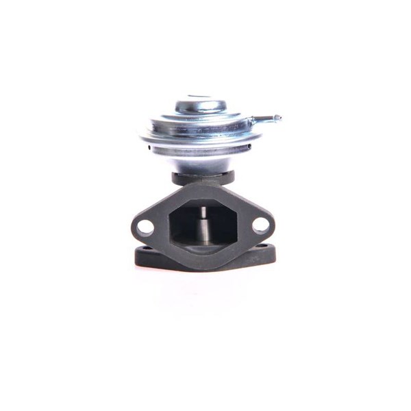 Egr-ventil Esen skv 14SKV001 ESEN SKV