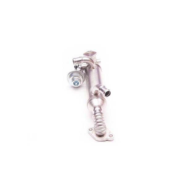 Egr-ventil Esen skv 14SKV119 ESEN SKV