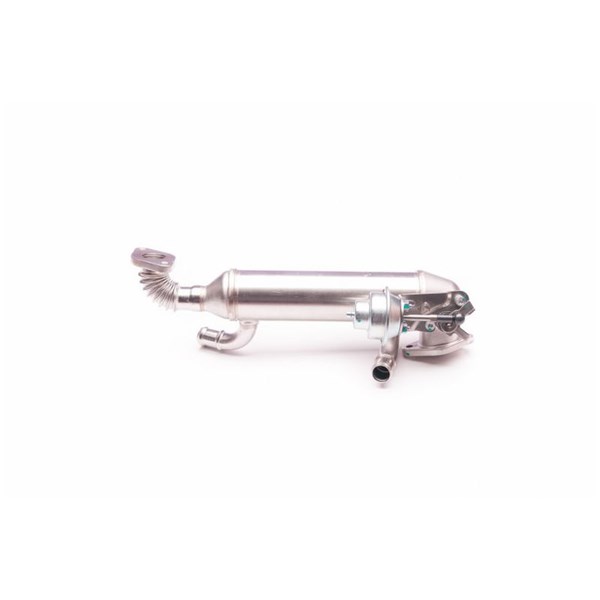 Egr-ventil Esen skv 14SKV119 ESEN SKV